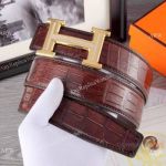 HERMES Brown and Gold Leather Belt - Vintage Style